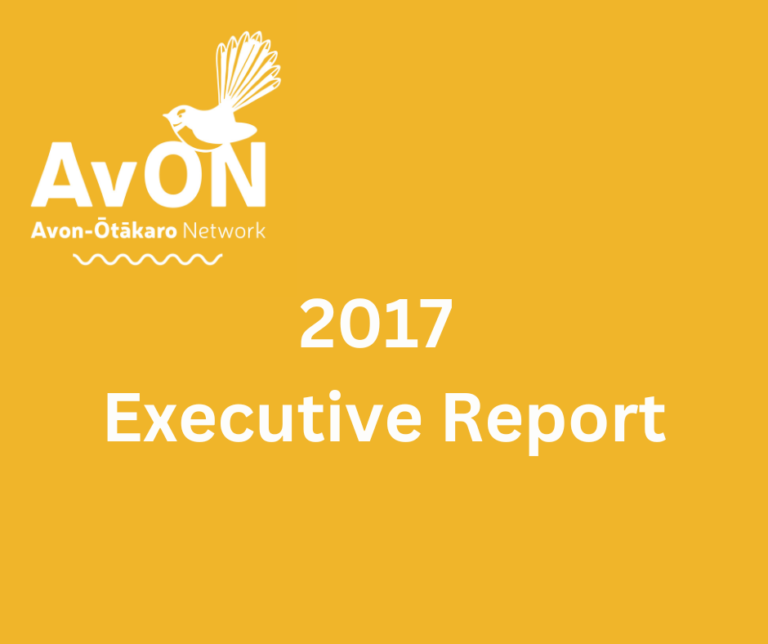 2017 Executive Report