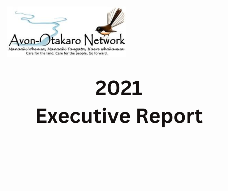 2021 Executive Report