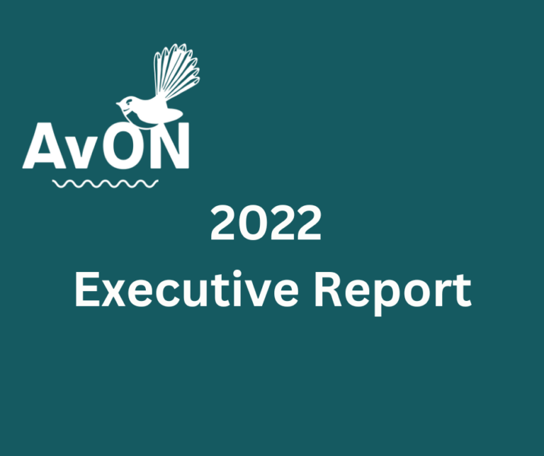 2022 Executive Report